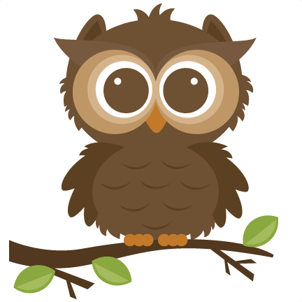 Cute owl clipart png