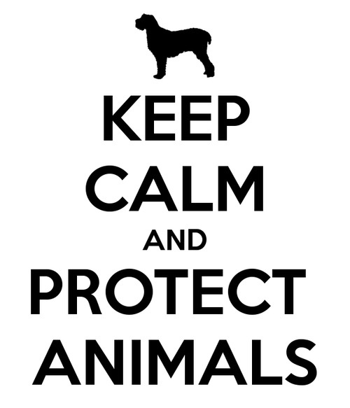 1000+ images about respect life