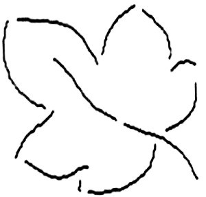Maple Leaf Template. pics photos maple leaf template the capital ...