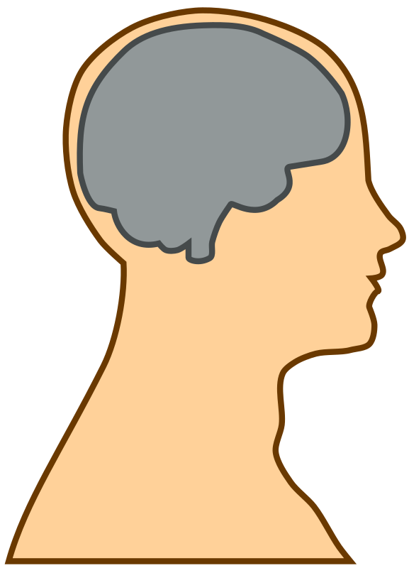 Free to Use & Public Domain Brain Clip Art
