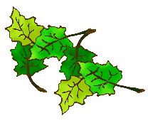 Leaf Clip Art - Green Leaves Page 1 - Clip Art of Leaves