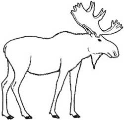 TRADITIONAL ROOFING MAGAZINE Issue #8: Gone to Moose Camp ...