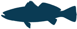 Double Haul Guide Service - The Fish