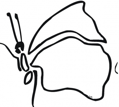 Butterfly Outline coloring page | Super Coloring