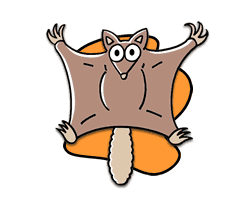 Australian Animals Cartoon - ClipArt Best
