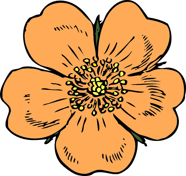 Peach Clip Art - Clipartion.com