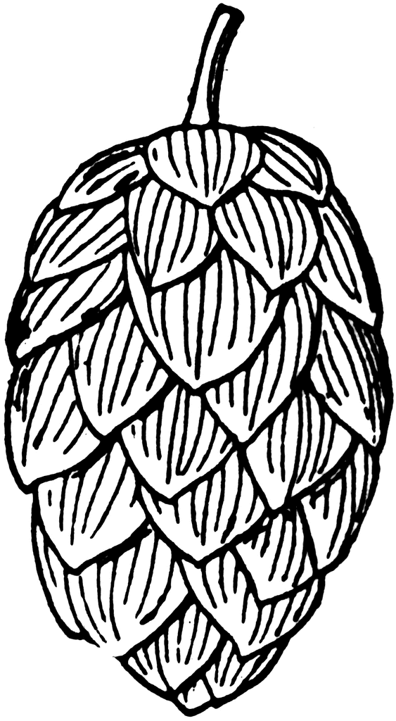 Beer Hop Gold Clipart