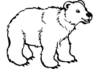 Bear Drawing | Free Download Clip Art | Free Clip Art | on Clipart ...