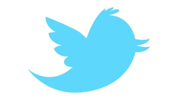 Twitter clipart bird