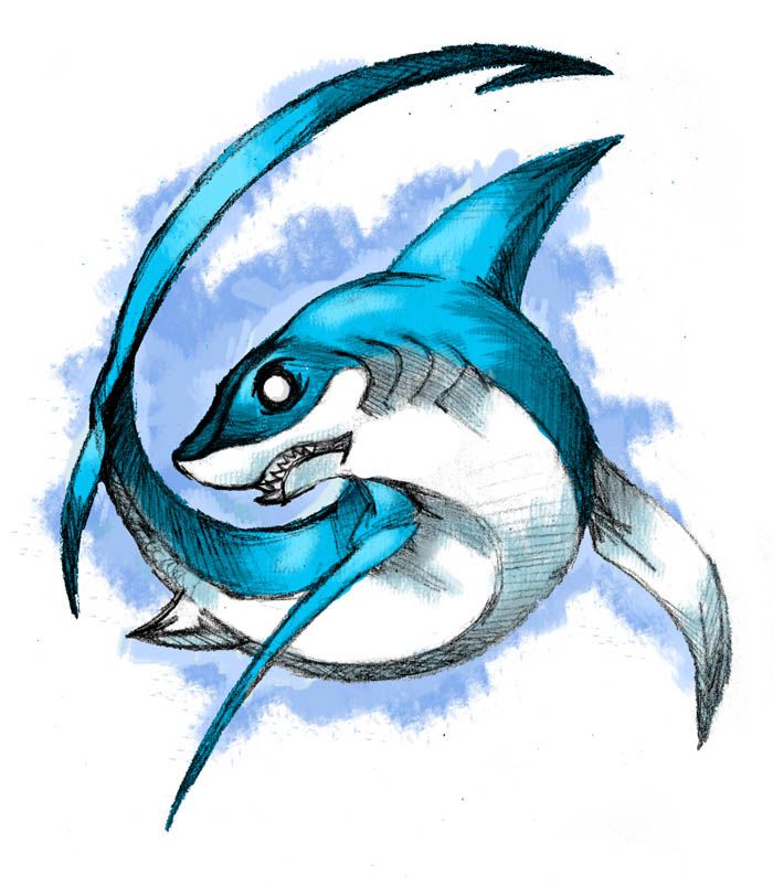 Shark Drawing | Shark Illustration ...