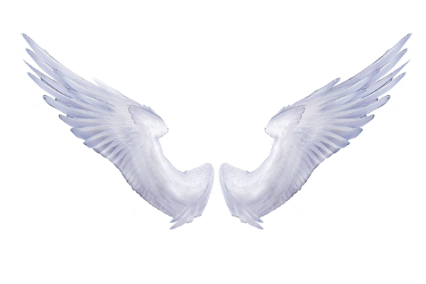 Angel wings paw print clipart
