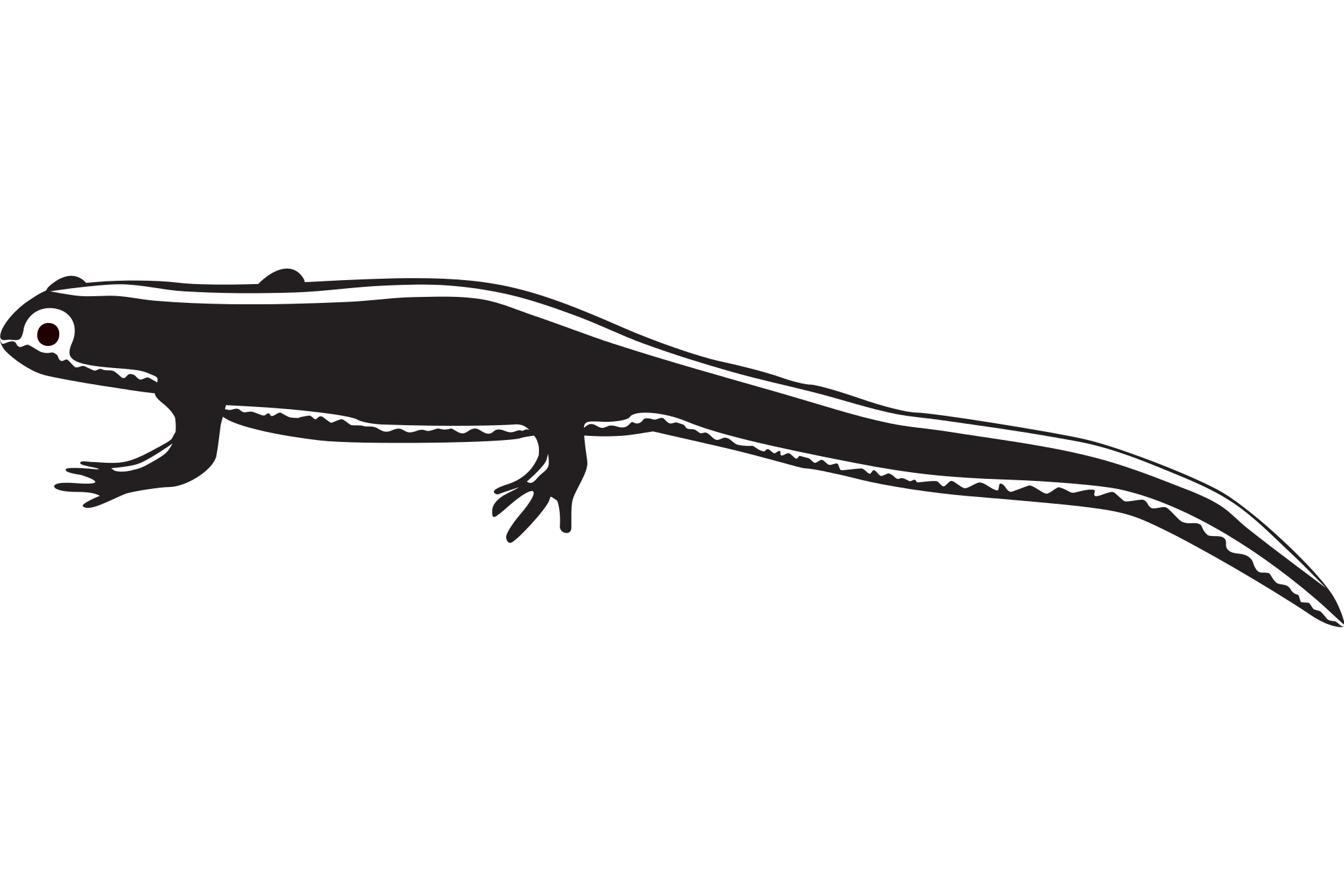 File:Newt clipart.svg