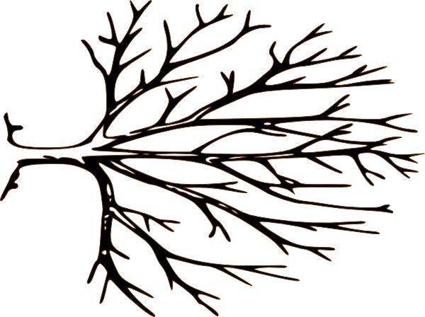 Black and white tree branches clip art