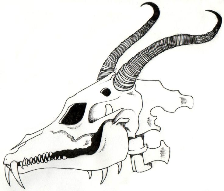 Skulls, Art and Dragon