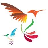 Hummingbird Clip Art - Tumundografico