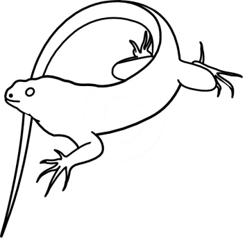 Iguana Clipart | Free Download Clip Art | Free Clip Art | on ...
