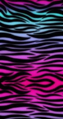 1000+ images about Zebra print | Rainbow zebra ...