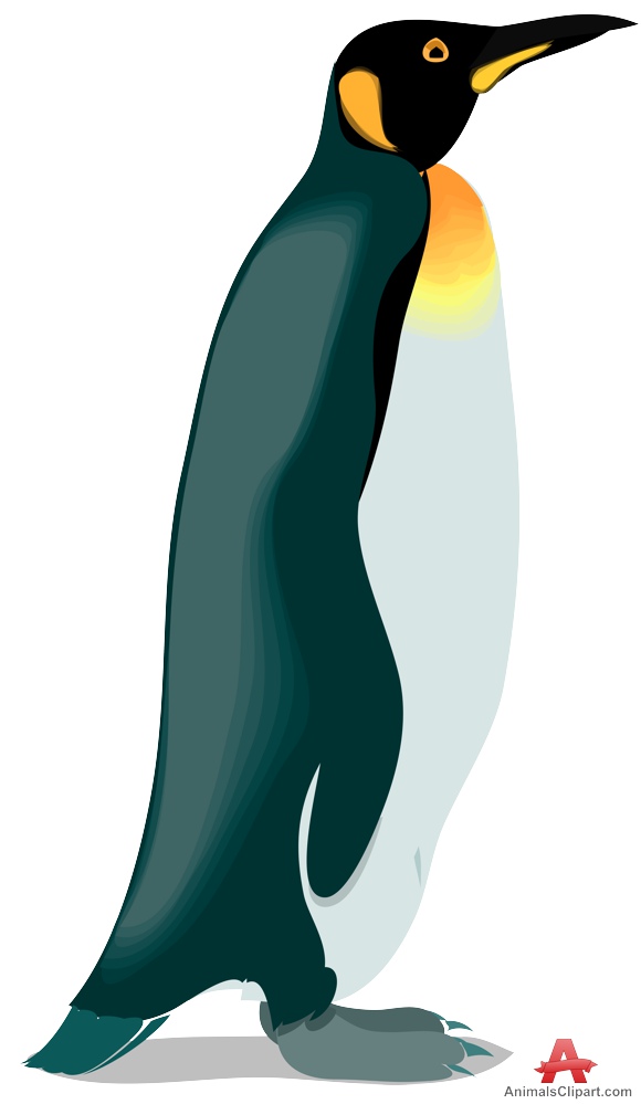 Penguin clipart