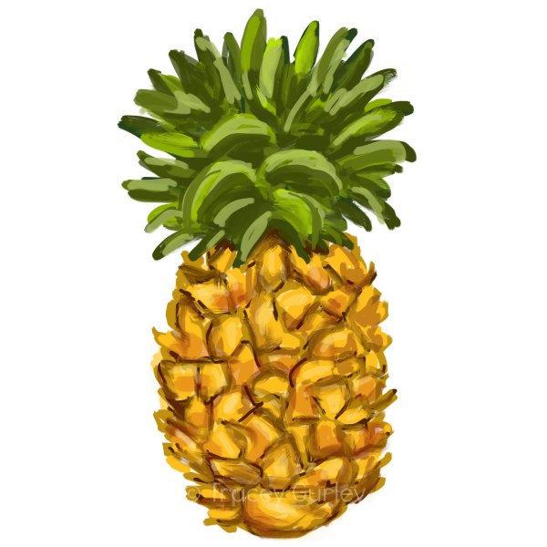 Pineapple clip art free free clipart images 2 - Clipartix