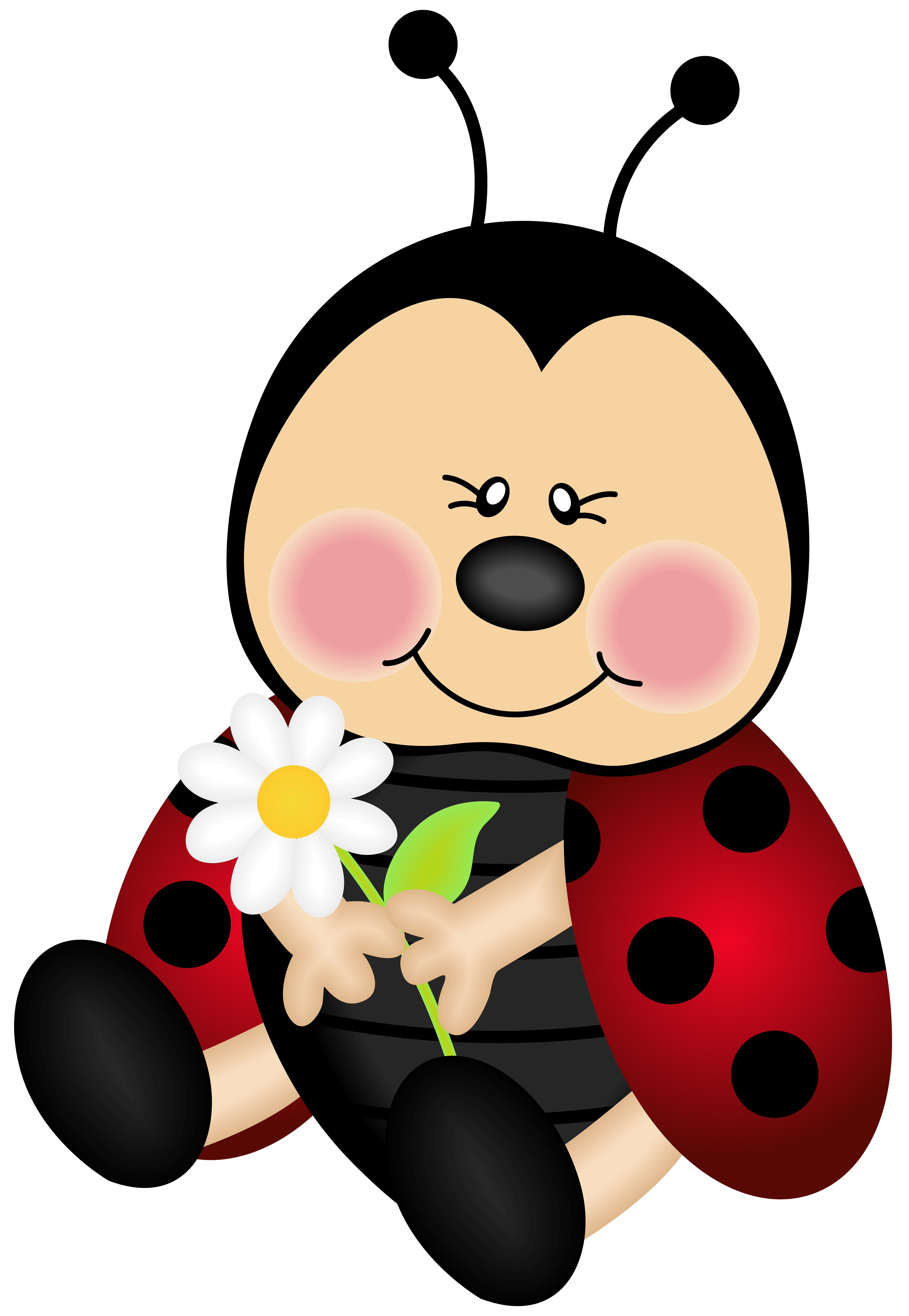 Lady Bug Cartoon PNG Clip Art Image