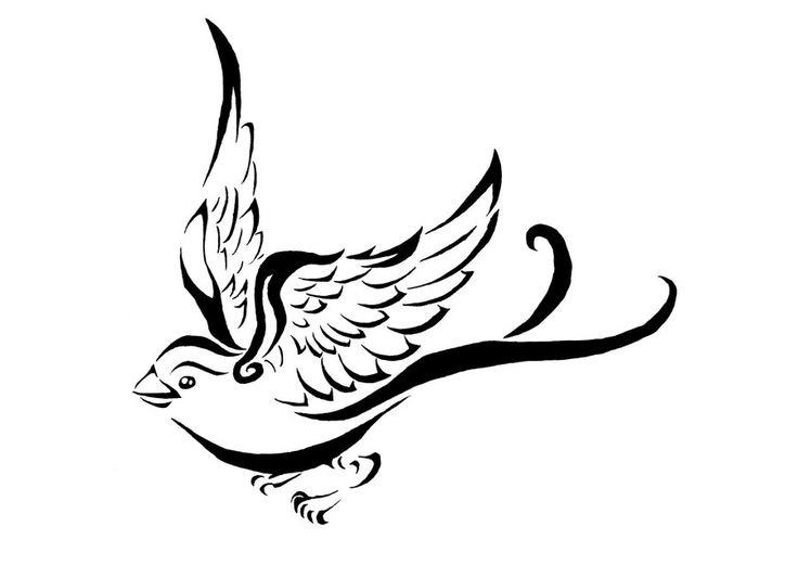 1000+ images about tattoo | Drawings of birds, The o ...