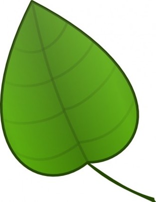 Kartun Daun Clipart - Free to use Clip Art Resource