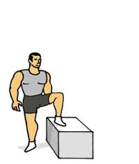 Animated Plyometric Exercises