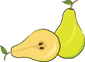 Pears Clipart Image - Realistic color illustration of two pears ...