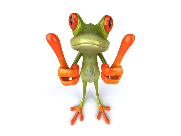 1000+ images about Funny Frogs