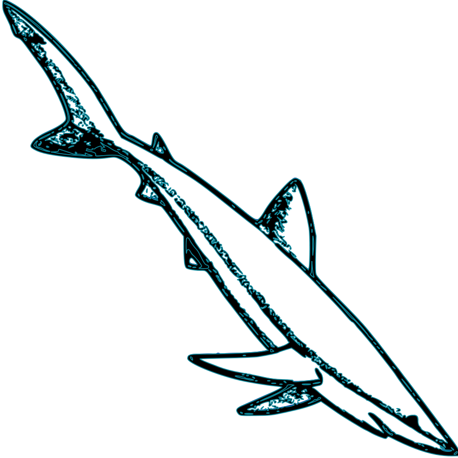 Shark Vector - ClipArt Best