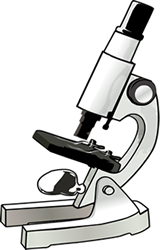 Introduction to the Microscope