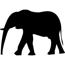 elephant.jpg