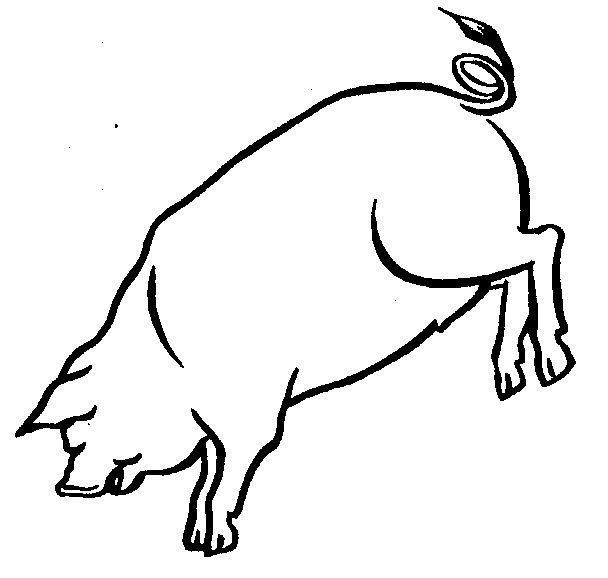 pig clipart