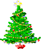 Penggunaan Cemara sebagai Pohon Natal | Coba-coba Bijak