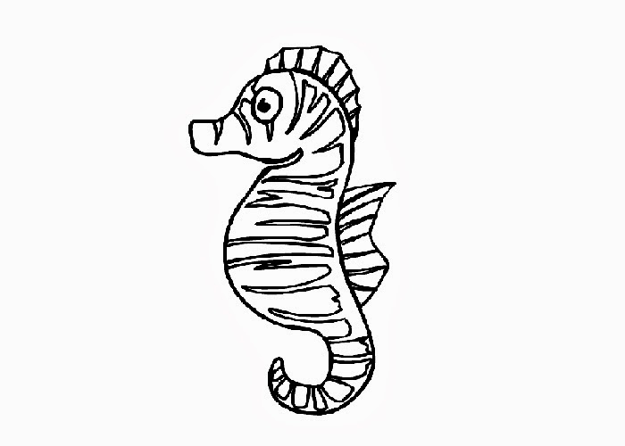 Baby Seahorse Coloring Pages | Hagio Graphic