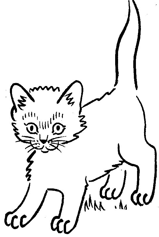 Cat | 3 Cats Clipart | Animal Picture | Animal Wallpaper