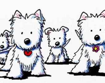 westie dog