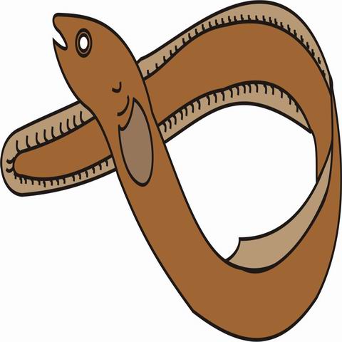 Eel Printable Coloring Pages - Printable Coloring Pages
