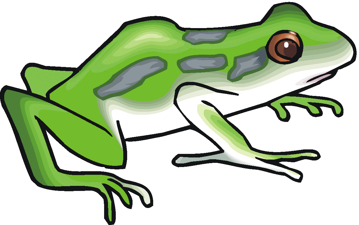 Toad Cliparts - The Cliparts