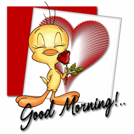 Good Morning Cats GIFs - Find & Share on GIPHY