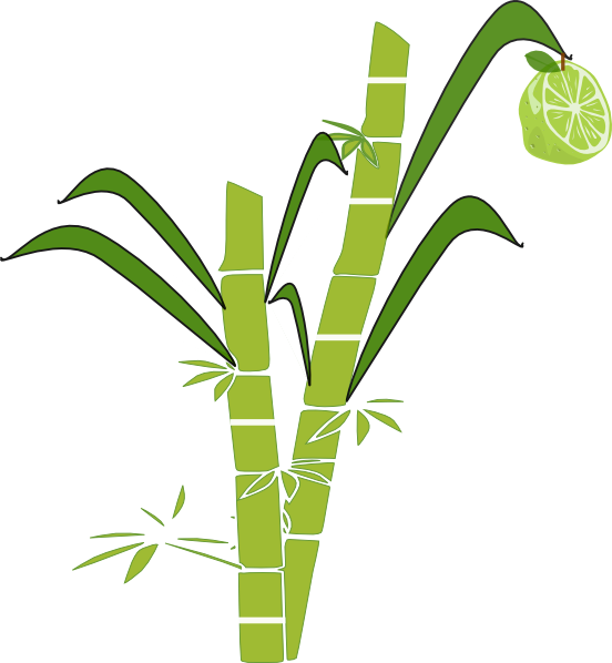 Sugarcane crop clipart
