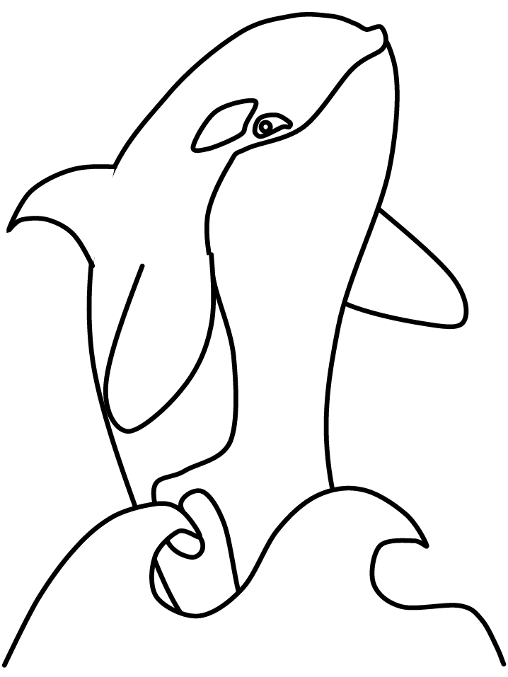 Shamu Coloring Pages