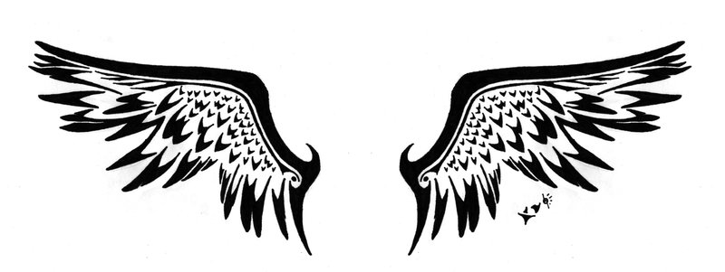 wings