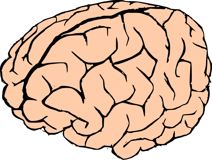 Clip Art Brain