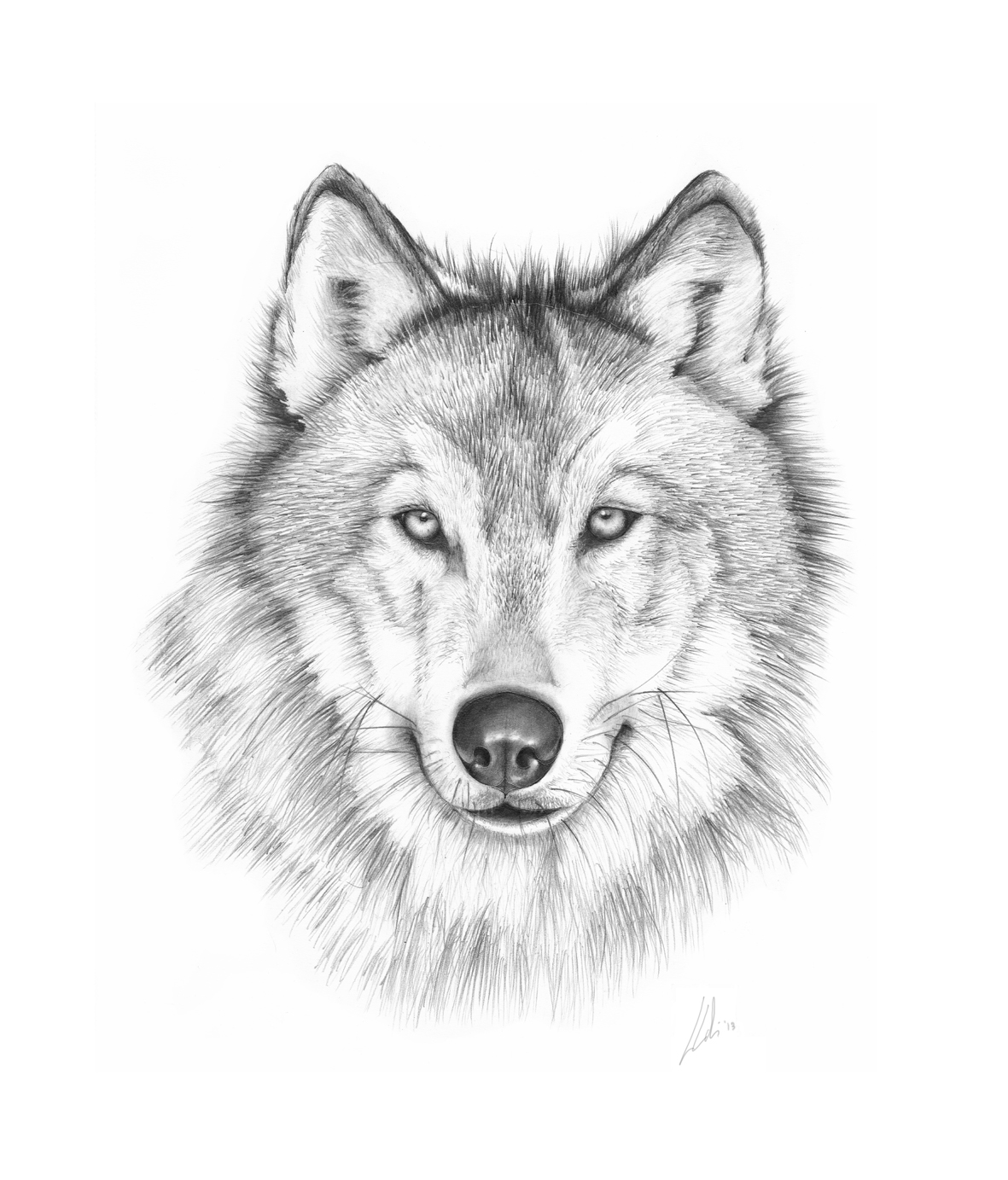 Amazing wolf drawing