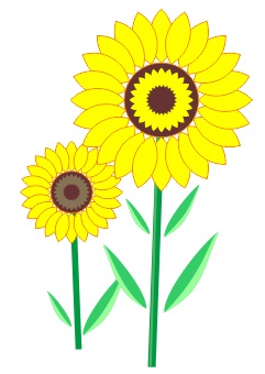 Cara Membuat Bunga Matahari dengan CorelDRAW | Keripik Citul