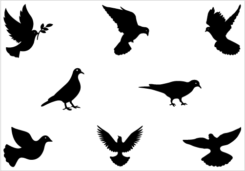 Flying Dove Clip Art