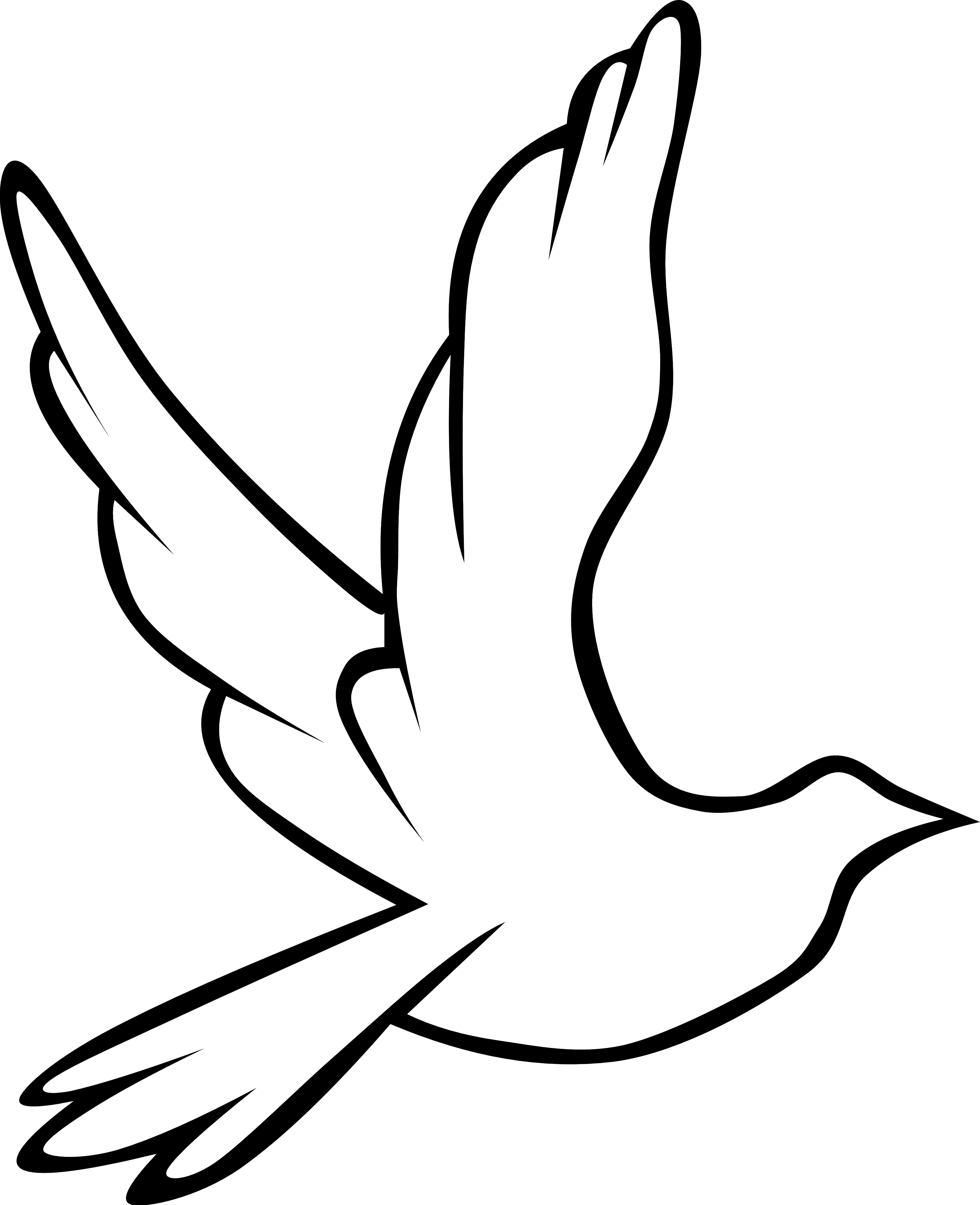 Dove Clipart Transparent No Background - Free ...