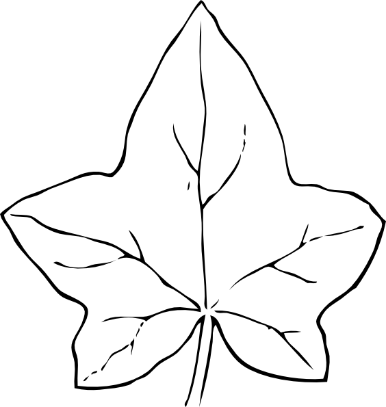 Leaf Drawing Template