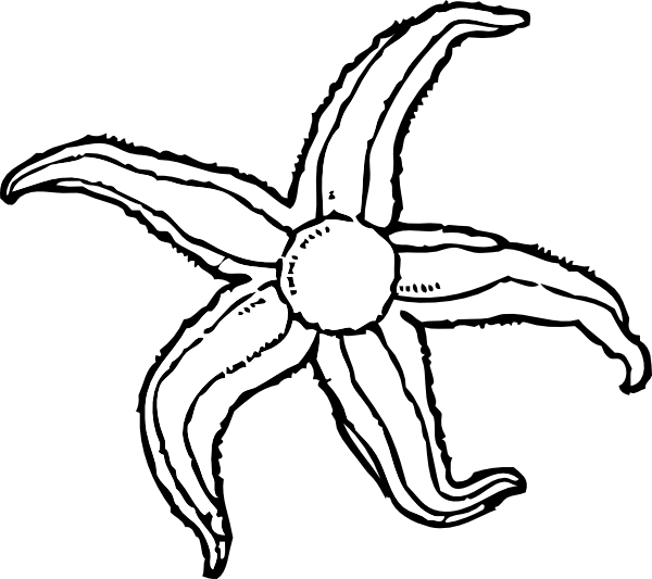 Starfish Clip Art Vector Online Royalty Free Amp Public 600x533px ...